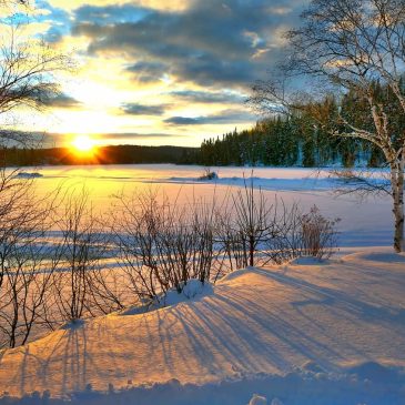 Зимнее солнцестояние☀️