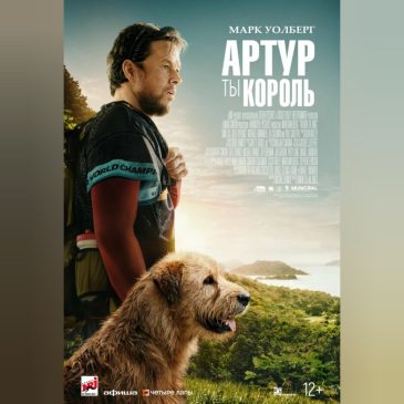 Артур, ты король 🐕 2024